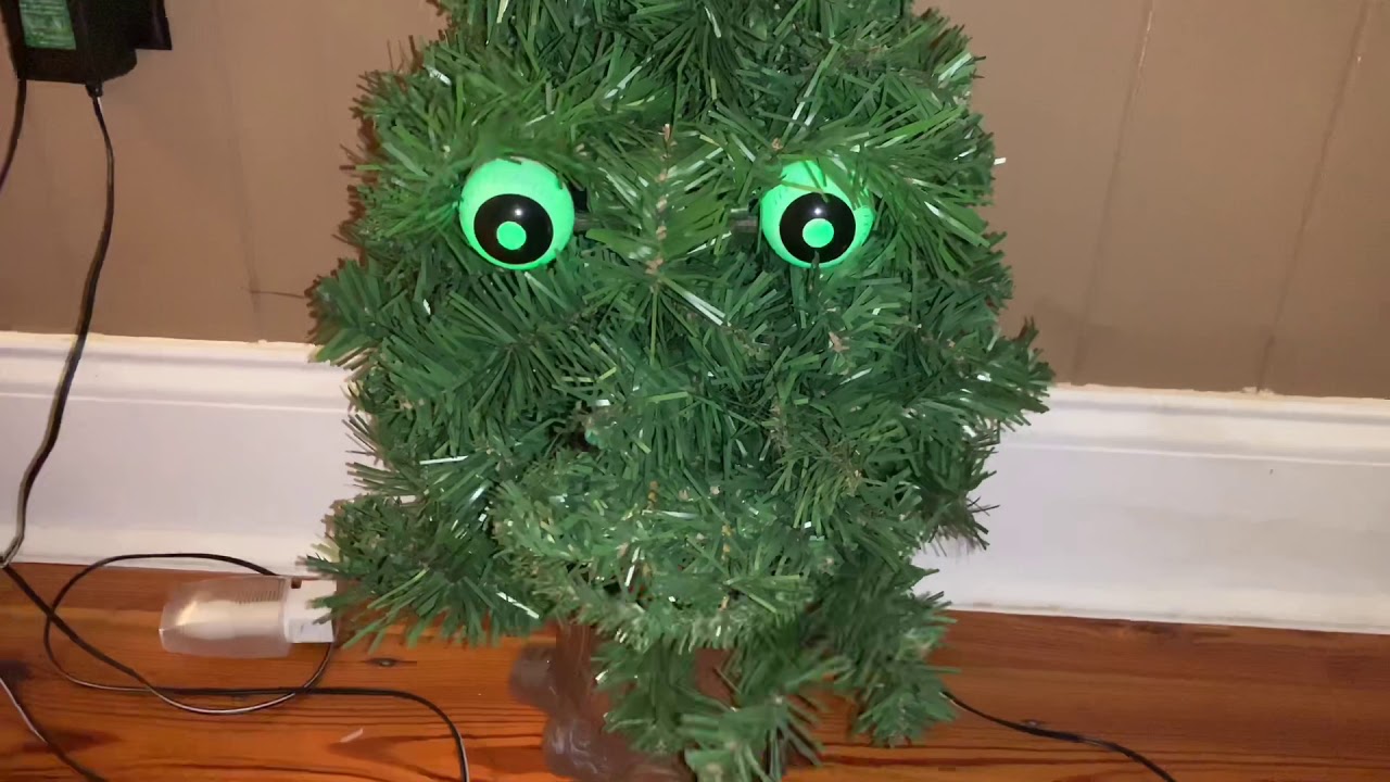 My Douglas Fir Collection (12-22-19)