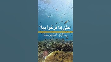 خشوع لا يوصف 🕊️ | آيات من القرآن الكريم #اكسبلور #المصحف #النصر