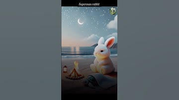 The rabbit rescue a tortoise 🐢 #cuteanimals #animalrescue #rabbits