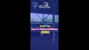 Intro To Riding Bridleless! Part 19! | The Horse Guru-Michael Gascon