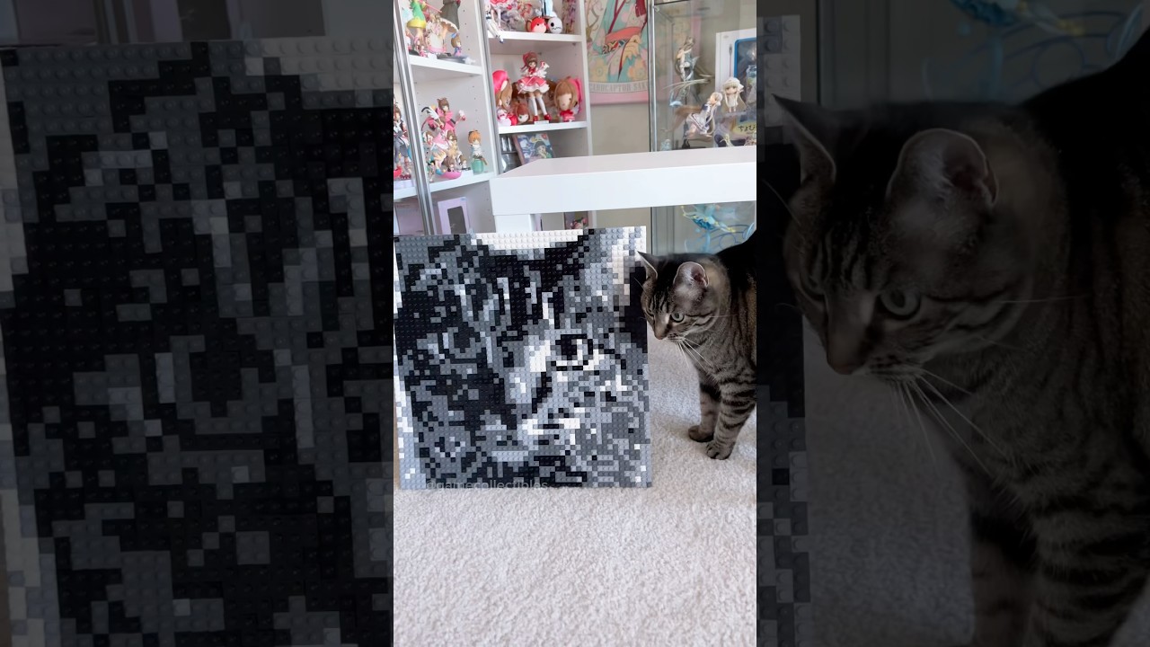 ✨Let’s make a LEGO Mosaic of my cat✨