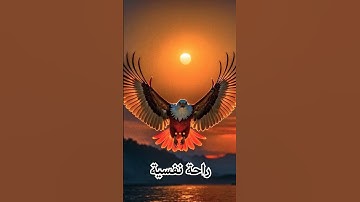 تلاوة تريح القلب |#قرآن | #اكسبلور