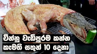 චනන වඩපරම කනන කමත සතන 10 දන The Most Unusual Foods In China