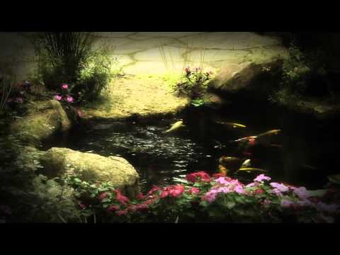 Koi Pond Builder Austin, San Antonio, Central Texas Call Today and Save 1000's