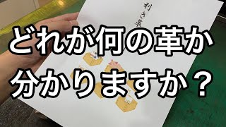 どれが何の動物の革か当てる！利き革セットを販売します【レザークラフト】【ハンドメイド】