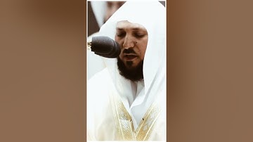 تلاوة مرئية | ما تيسر من سورة المائدة | الشيخ #ماهر_المعيقلي
