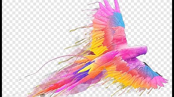 Design and color Beautiful bird | Adobe illustrator Bird tutorial- Part 02 | #EDU_MIND_OFFICIAL