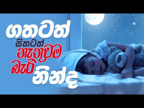 ගතටත් සිතටත් නැතුවම බැරි නින්ද | පුංචි අපේ දැනුම් පොතට | Shraddha Kids #sleeping