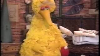 Sesame Street - Ruthie and Elmo sleepover at Big Bird's