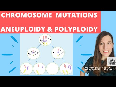 Video: Polyploidy: Získávání A Používání Kolchicinu Doma