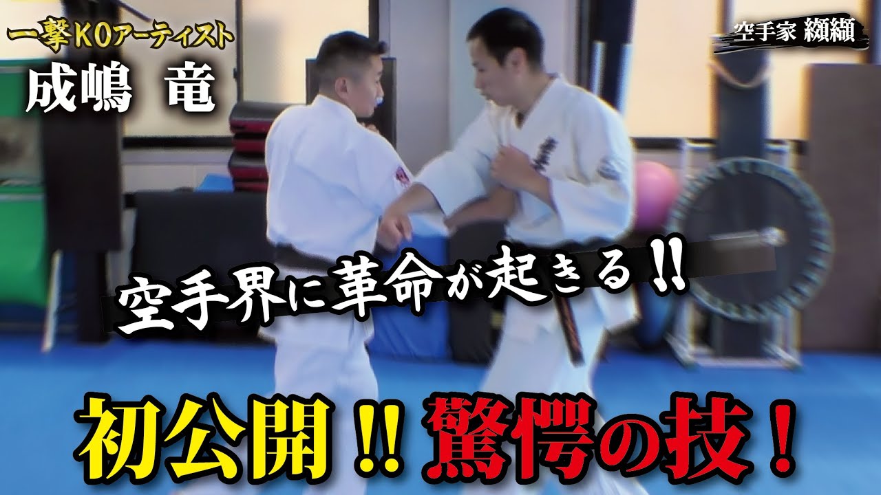 常識を覆す!!成嶋竜の最強期を支えたカウンターの秘訣に驚愕！