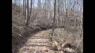 13 3 Acres Marshall 59,900