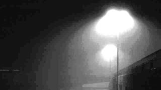 hans platzgumer - dreckschwein