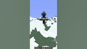 The Most Cursed Minecraft Texture Pack