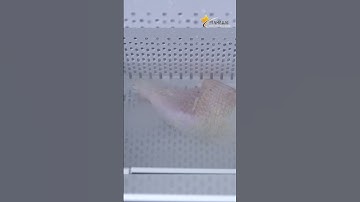 🍗Test thực tế đùi gà với Máy rửa rau củ quả Tahawa TH-C6 loại bỏ vi khuẩn, chất bảo quản.