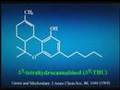 Cannabinoid System in Neuroprotection, Raphael Mechoulam,PhD