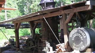 Less Than 45 Secs Steam Logging Donkeys