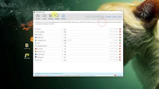Google Drive Scopes Use in PicBackMan