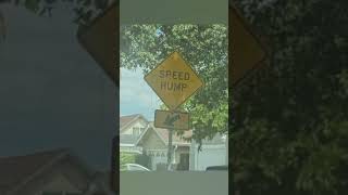 Speed hump sign