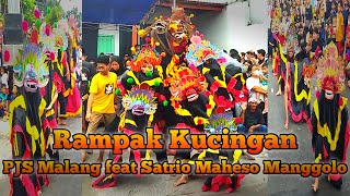 Tari Rampak Kucingan || PJS Malang feat Satrio Maheso Manggolo || Claket Malang #tarikucingan