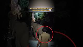 കാട്ടാനകളെ കണ്ടാൽ തന്നെ വിറക്കും 🥵📈 #shorts #trending #edit #aana #fyp #viral