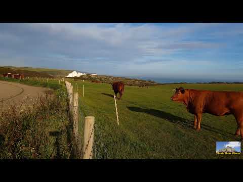 UK through my lenses, Seaford Head Nature Reserve ( 4K ) 13 minutes view in one spot