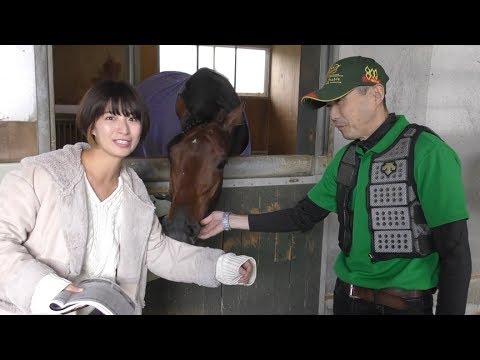 【チャンピオンズＣ】競馬界の女神・稲富菜穂がクリソベリルの濱田誠一助手を直撃！