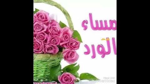حالات واتس اب مسائية 🌹🧡 اذكار المساء 🌺💖مساء الخير 🌷استوريات مساء الخير