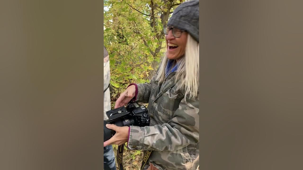 3 Part Birds of Prey with Hawk Quest in Colorado YouTube