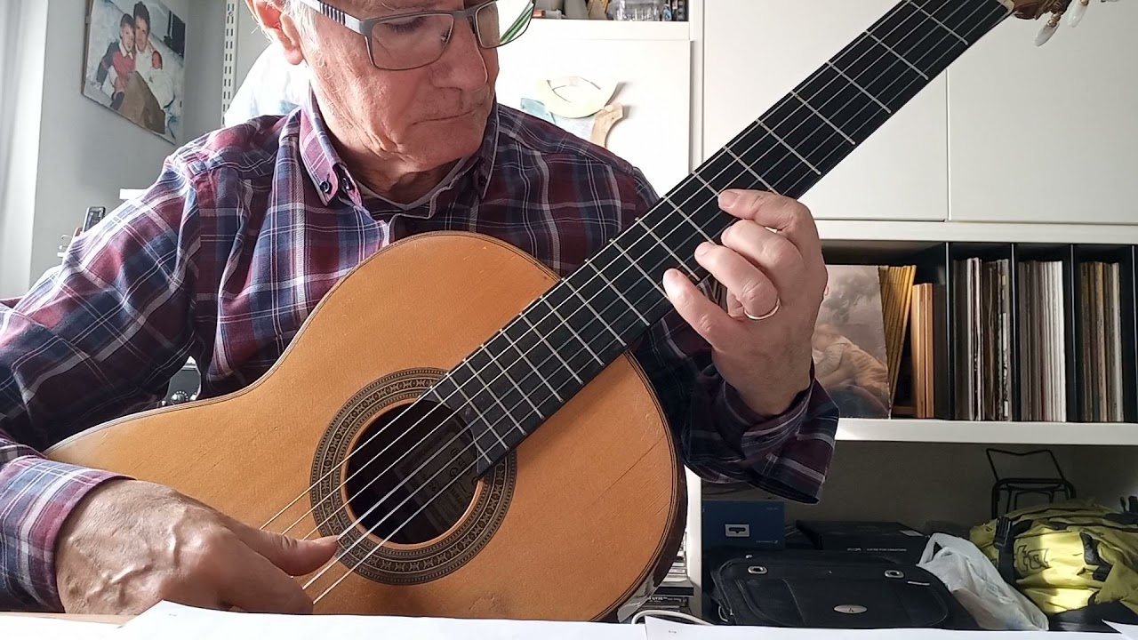 I'll see you in my dreams-Merle Travis-arr.Ivan Cirilovic