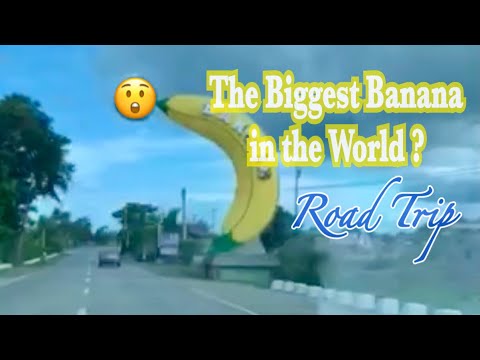 Pinaka MalaKING Saging Na Nakita Ko🍌🙈LOL🙊#roadtrip #banana | AiMIRA愛JPINAY