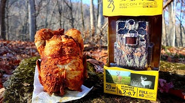 Trail Camera: Leaving a CHICKEN in the Woods!