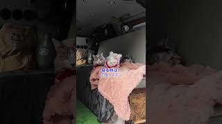 デリカのカスタムがハンパないっ！#デリカスペースギア #車中泊 #バンライフ