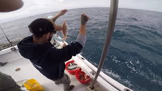 Gulf Stream fishing with Little River Fishing Fleet Little River Deep Sea Fisking