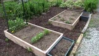 Raised Beds and Planter 