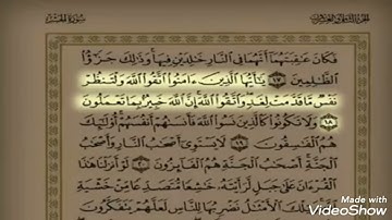تلاوة تريح القلوب والأبدان
