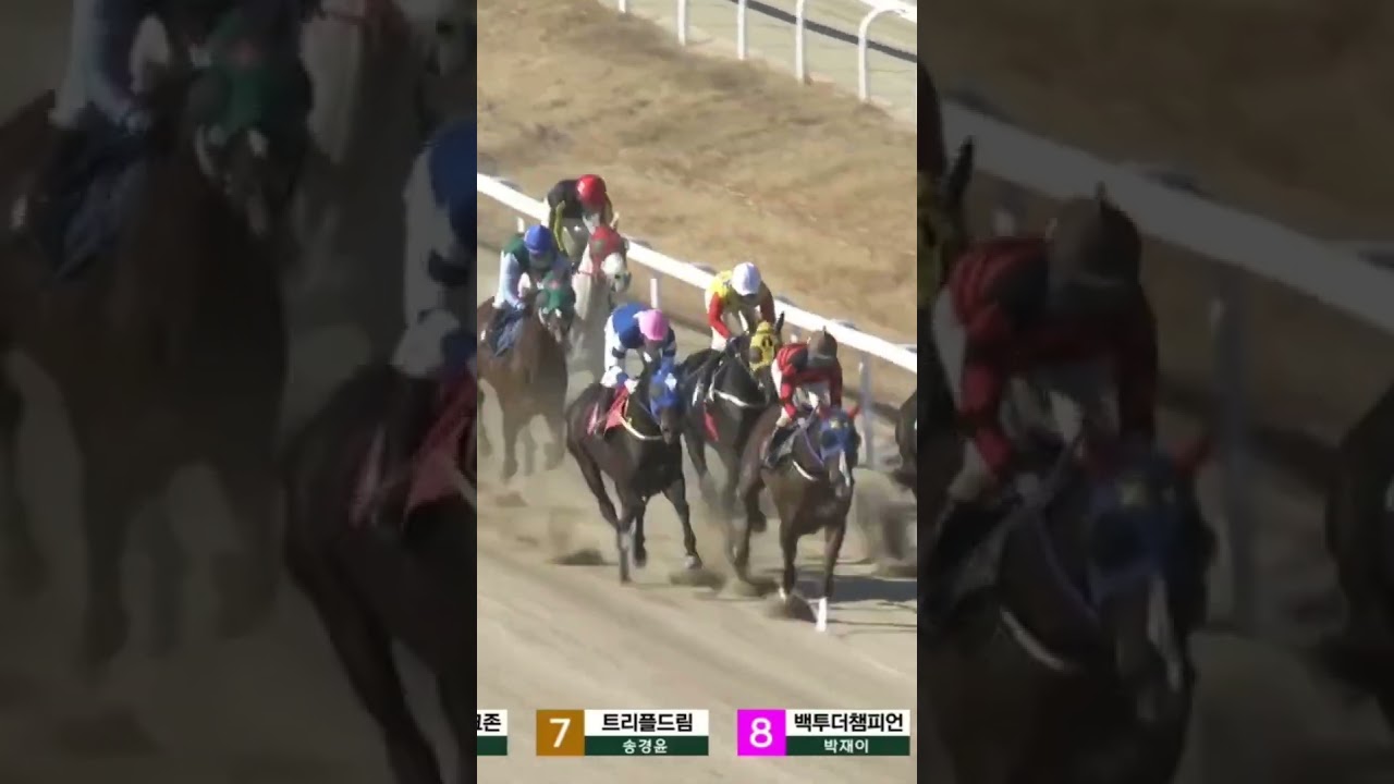 74배 5-2-4공개된번호01055876275