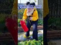 I’m Afraid My Vegetables Will Catch a Cold 🥶🥬#funny #shorts #comedy #Celine_MissBunBun