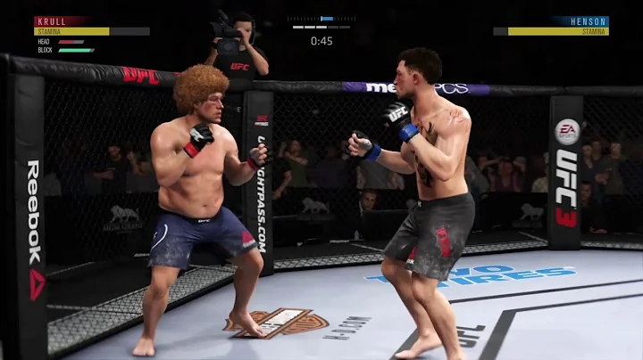 Brandon Henson V.S Seth Krull (UFC 3) FIGHT SIMULATION