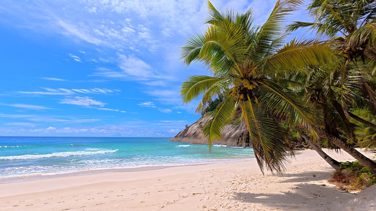 Seychelles Ocean Ambience 4K. Gentle Waves on The Luxury Beach
