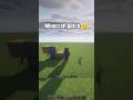 CRAZY MINECRAFT GLITCH #fifatv5 #minecraft #popuskTM MINECRAFT GLITCH 🤯