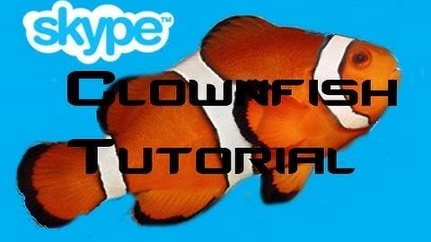 Clownfish for skype tutorial