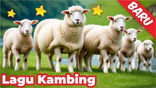 Paijo Adu Domba shorts Sapi Lucu Kepleset Lembu Jinak Pedet Super sapi lembu cow sapilucu