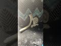 I made green out of clay