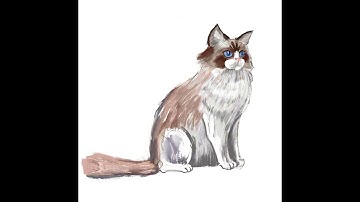 Procreate time lapse cat drawing. #shorts