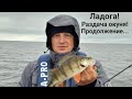 Ладога🎣Осенняя рыбалка🍁Продолжение.....