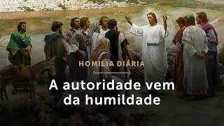 Homilia Diária | A autoridade vem da humildade (Quarta-feira da 25.ª Semana do Tempo Comum)