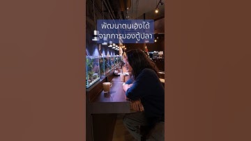 นั้งมองตู้ปลา ออกจาก Comfort Zone #เลี้ยงปลา #ตู้ปลา #ปลาสวยงาม #จัดตู้ปลา #ComfortZone #พัฒนาตัวเอง