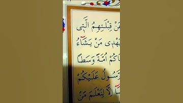 سورة البقرة الأية 142 القارئ مشاري راشد العفاسي