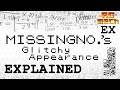 MissingNo.'s Glitchy Appearance Explained